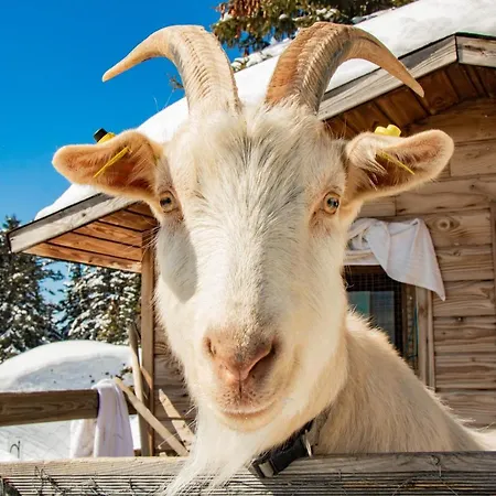 Les Villages Du Bachat Θέρετρο Chamrousse