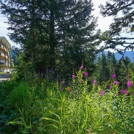 Resort Les Villages Du Bachat Chamrousse